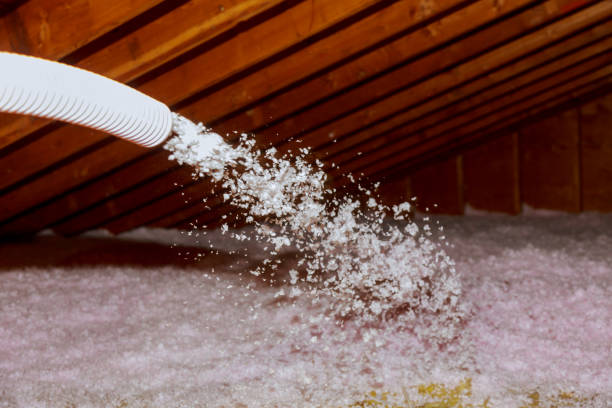 Best Insulation Contractor Near Me  in Drexel Hill, PA