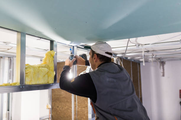 Best Professional Insulation Contractor  in Drexel Hill, PA